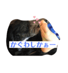 まったりりん part☆2（個別スタンプ：16）