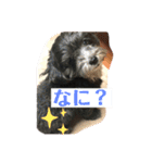 まったりりん part☆2（個別スタンプ：19）