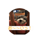 まったりりん part☆2（個別スタンプ：23）