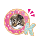 キッキの気持ち（ねこ）（個別スタンプ：11）