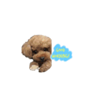 わんことにゃんこのハッピーライフ❤️（個別スタンプ：29）
