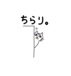 ぶさかわねこ太（個別スタンプ：24）