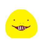 か め（個別スタンプ：8）