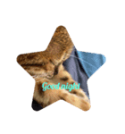 いち（ねこ）スタンプ（個別スタンプ：6）