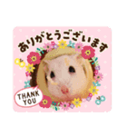 ハムスター白身のスタンプ（個別スタンプ：1）