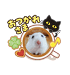 ハムスター白身のスタンプ（個別スタンプ：2）