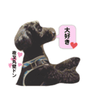 やしゃまるくんと一緒（個別スタンプ：2）