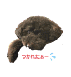 やしゃまるくんと一緒（個別スタンプ：7）