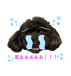 やしゃまるくんと一緒（個別スタンプ：8）