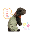 やしゃまるくんと一緒（個別スタンプ：10）