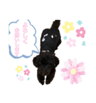 やしゃまるくんと一緒（個別スタンプ：11）