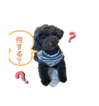 やしゃまるくんと一緒（個別スタンプ：12）