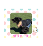 やしゃまるくんと一緒（個別スタンプ：14）