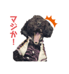 やしゃまるくんと一緒（個別スタンプ：15）