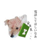 ビビり犬2 〜いつも自分に素直〜（個別スタンプ：9）