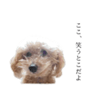 ビビり犬2 〜いつも自分に素直〜（個別スタンプ：15）