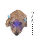 ビビり犬2 〜いつも自分に素直〜（個別スタンプ：28）