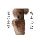 ビビり犬2 〜いつも自分に素直〜（個別スタンプ：30）