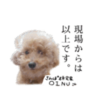 ビビり犬2 〜いつも自分に素直〜（個別スタンプ：32）
