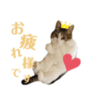 わーちゃん's★stamp（個別スタンプ：2）