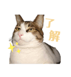 わーちゃん's★stamp（個別スタンプ：6）