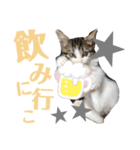 わーちゃん's★stamp（個別スタンプ：21）