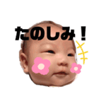 ひよちゃん♡スタンプ（個別スタンプ：7）