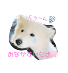 ZARAスタンプ（個別スタンプ：3）