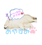 ZARAスタンプ（個別スタンプ：6）