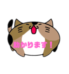 丸い猫たち（個別スタンプ：6）