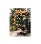 風景とワンコ（個別スタンプ：13）