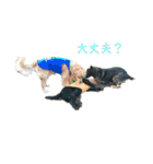 風景とワンコ（個別スタンプ：21）