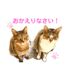 ししちゃちゃねこスタンプ（個別スタンプ：9）