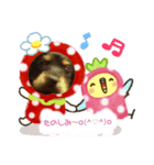 セナぶぅの日常スタンプ（個別スタンプ：6）