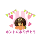 セナぶぅの日常スタンプ（個別スタンプ：8）