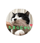 愛しのクロちゃん♡（個別スタンプ：2）