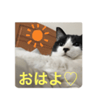 愛しのクロちゃん♡（個別スタンプ：5）