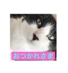 愛しのクロちゃん♡（個別スタンプ：7）