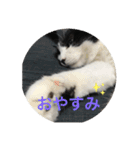 愛しのクロちゃん♡（個別スタンプ：8）