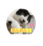 愛しのクロちゃん♡（個別スタンプ：13）