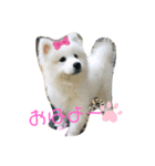 ZARAPart2（個別スタンプ：1）