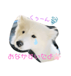 ZARAPart2（個別スタンプ：3）