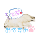 ZARAPart2（個別スタンプ：5）