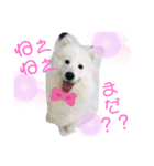 ZARAPart2（個別スタンプ：6）