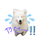 ZARAPart2（個別スタンプ：7）