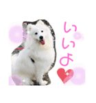 ZARAPart2（個別スタンプ：8）