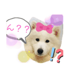 ZARAPart2（個別スタンプ：10）