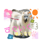 ZARAPart2（個別スタンプ：12）