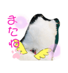 ZARAPart2（個別スタンプ：14）