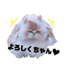 ほっしゃん(2)（個別スタンプ：8）